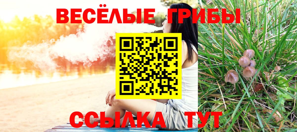 Сыктывкар  Псилоцибиновые грибы Cubensis  сколько стоит  Вход с VPN 